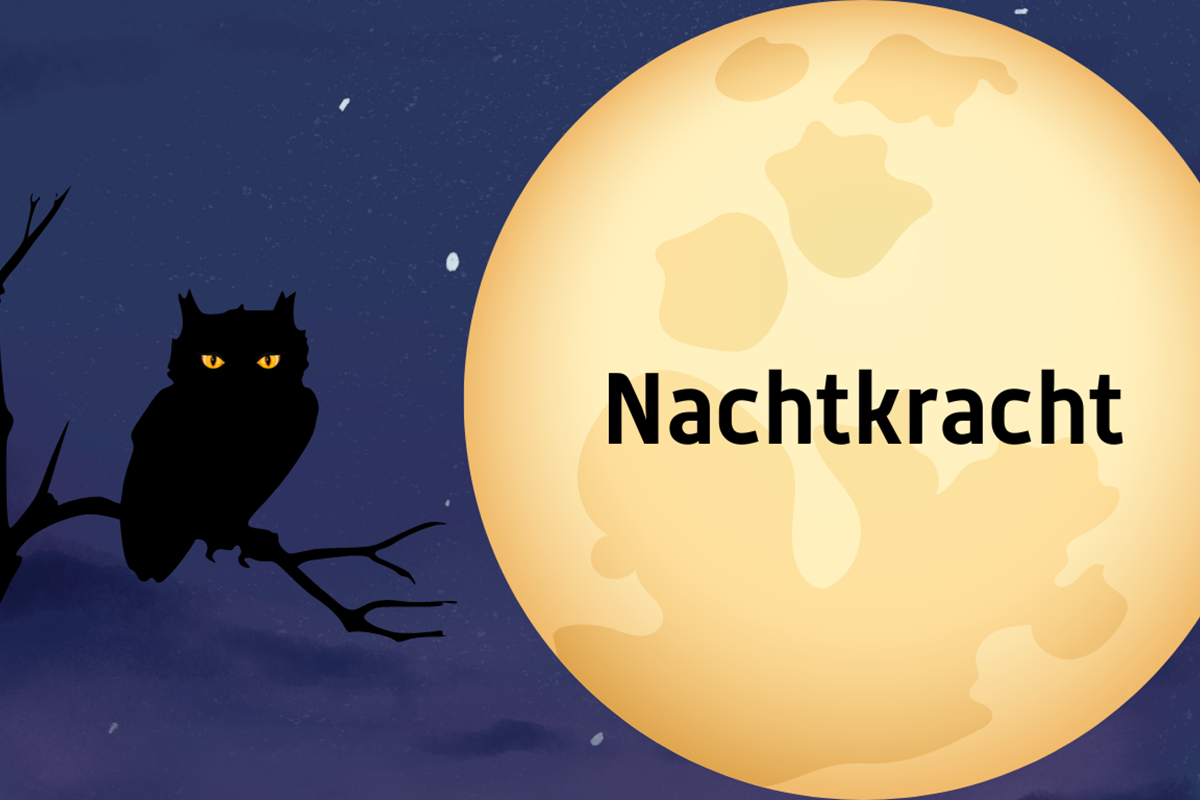 Nachtkracht (1)