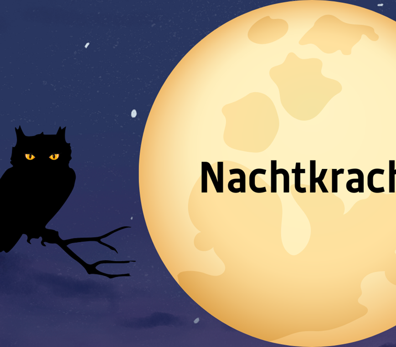 Nachtkracht (1)
